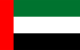 UAE flag